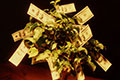 No Load Mutual Funds Offer More for Less No Load Mutual Funds Offer More for Less