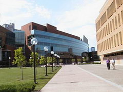 Minnesota Municipal Minnesota Municipal